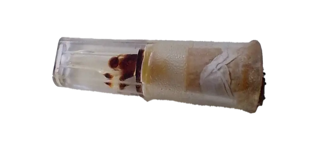 Sarma Sigara Filtre Kullanımı 10 Nst sarma tutun Touch Blue filtrede katran